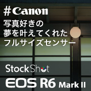 EOS R6 MarkII blog