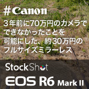 EOS R6 MarkII blog