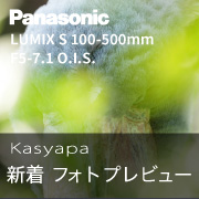 LumixS100-500_kasyapa