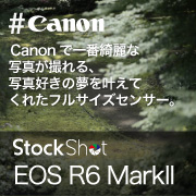 【Canon】Canonで一番綺麗な写真が撮れる、写真好きの夢を叶えてくれたフルサイズセンサー。