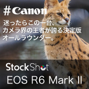 【Canon】迷ったらこの一台、カメラ界の王者が誇る決定版オールラウンダー。