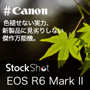 【Canon】色褪せない実力、新製品に見劣りしない傑作万能機。