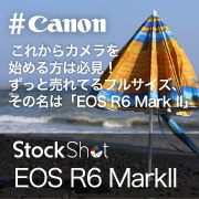 【Canon】これからカメラを始める方は必見！ ずっと売れてるフルサイズ、その名は「EOS R6 Mark II」　
