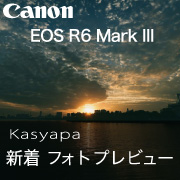 EOS R6 Mark III Kasyapa レビュー