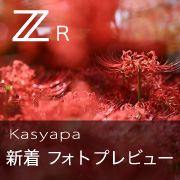 Z R Kasyapa