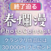  春爛漫 PHOTO CONTEST