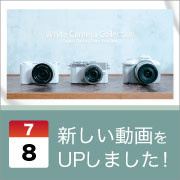 ec_youtubeblog