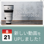 ec_youtubeblog
