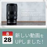 ec_youtubeblog