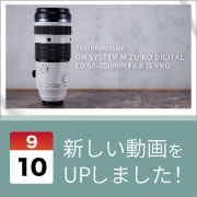 ec_youtubeblog