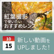 ec_youtubeblog