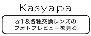 カシャパ
