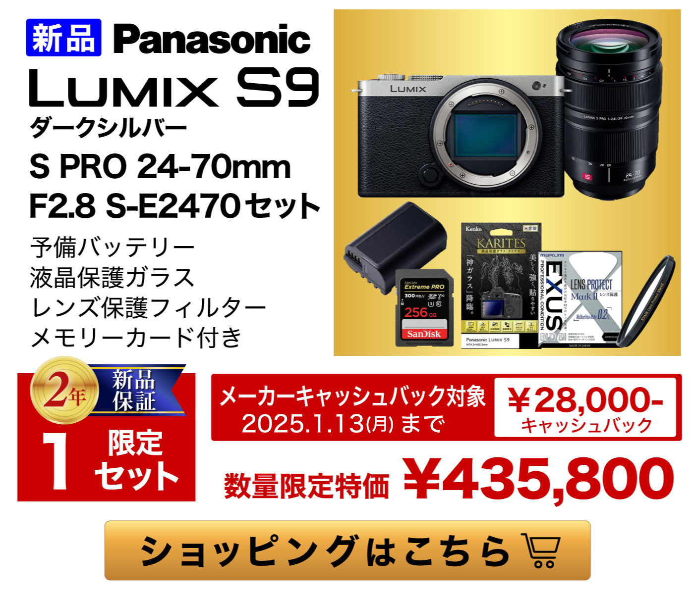 Panasonic LUMIX S9