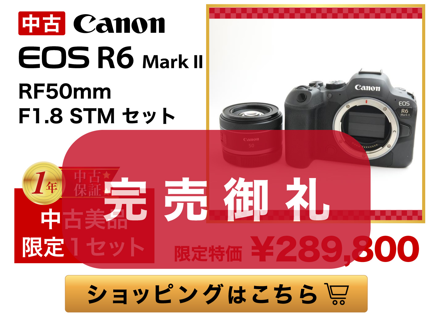 Canon EOS R6 Mark II 美品