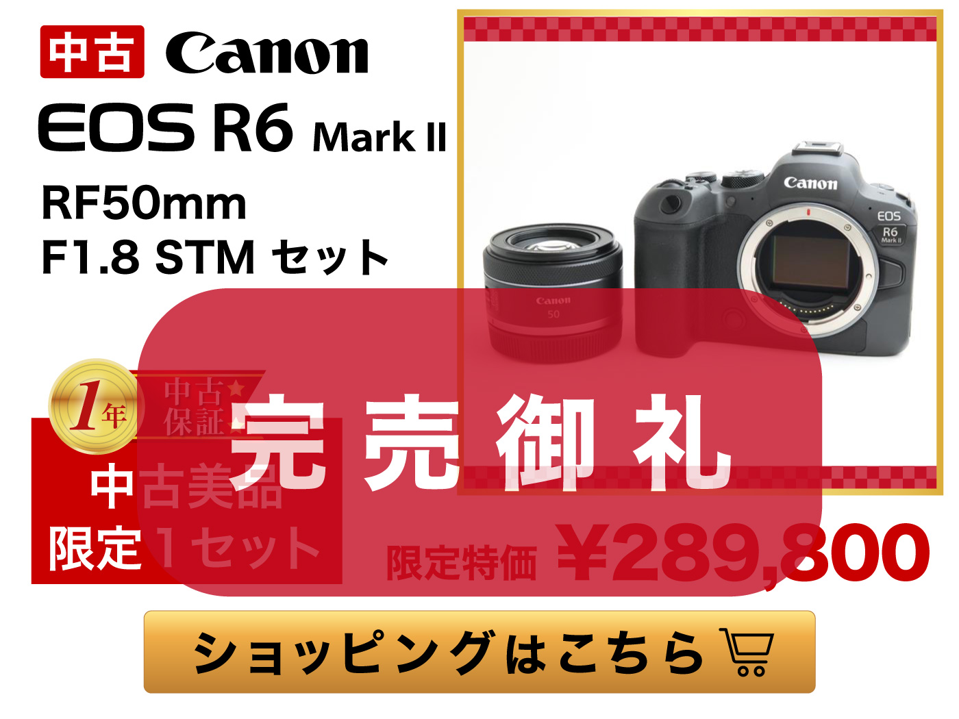 Canon EOS R6 Mark II 良品