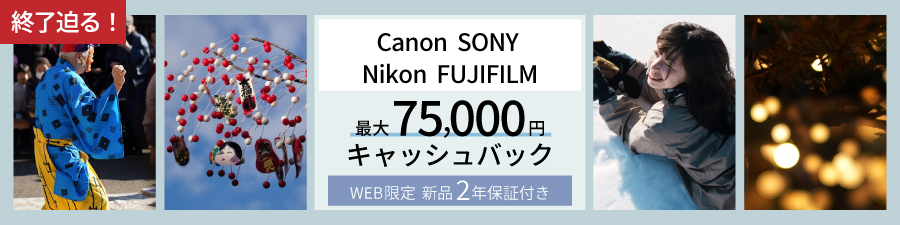 キャッシュバック実施中