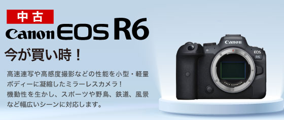 Canon EOS R6 本体　ジャンク キヤノン EOS R6 Mark II フルサイズミラーレスカメラ ボディ | ヤマダ