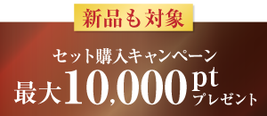 セット購入キャンペーン