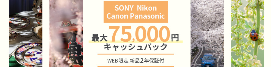 キャッシュバック実施中