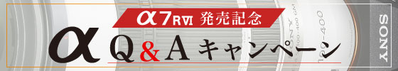 先取下取り最大13％UP