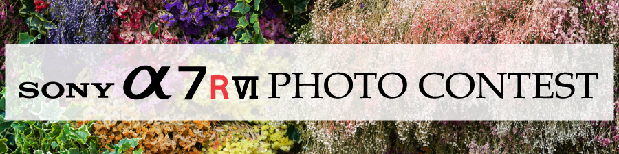 「SONY α7RVI Photo Contest」