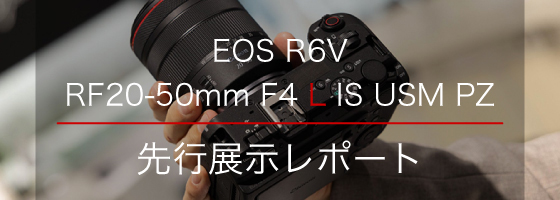 EOS R6V Report