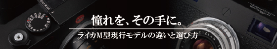 セット購入で最大10000ポイントプレゼント