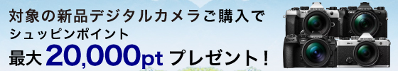 最大20000ポイントプレゼント