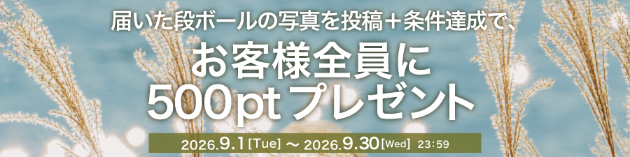 届いた段ボールの写真を投稿＋条件達成で、全員に500ポイントプレゼントキャンペーン