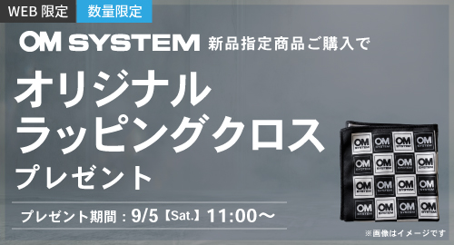 OMSYSTEMオリジナルラッピングクロスプレゼント