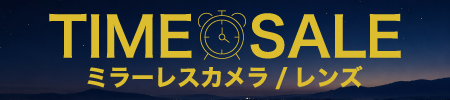 TimeSALE