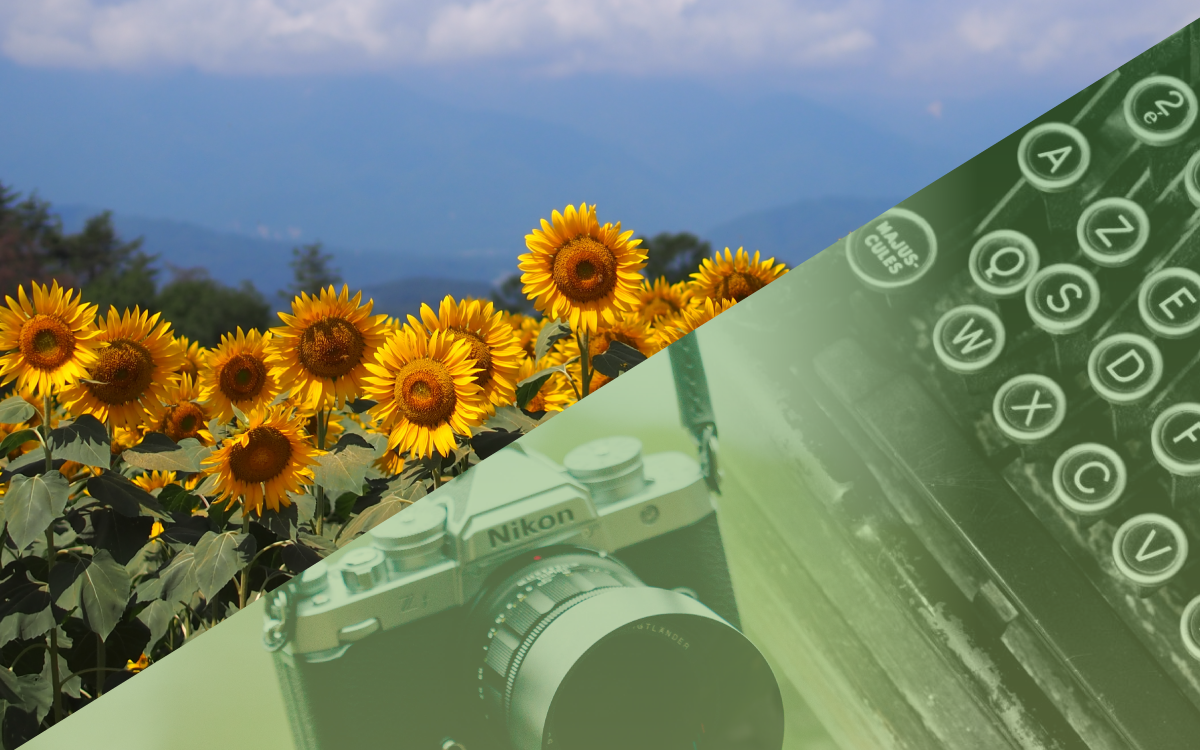 Photo Contest