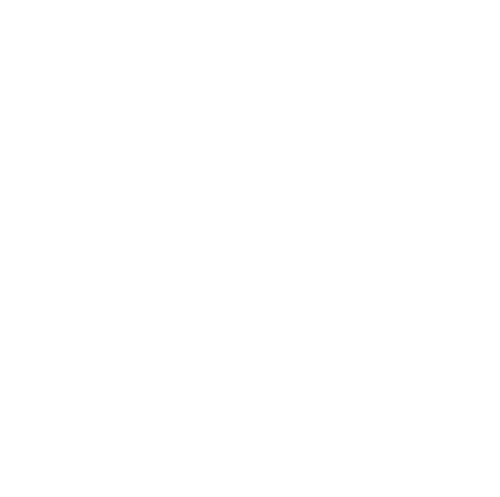 TOP NOTCH