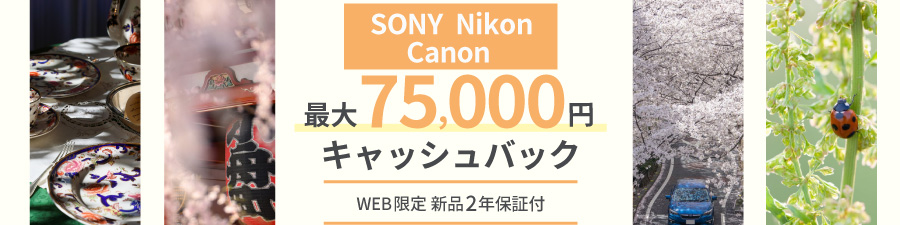 キャッシュバック実施中