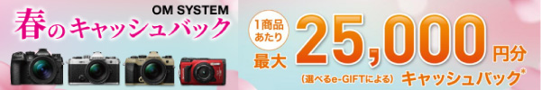 キャッシュバックキャンペーン