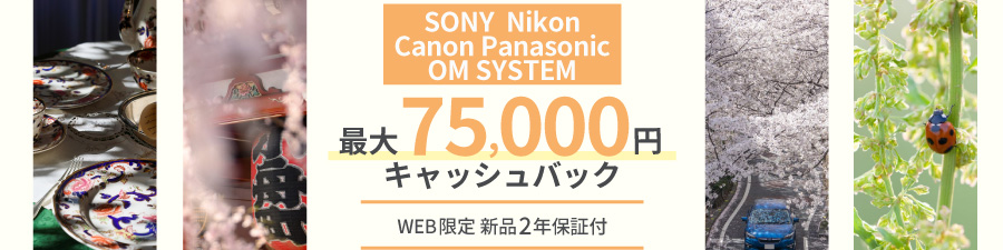 キャッシュバック実施中