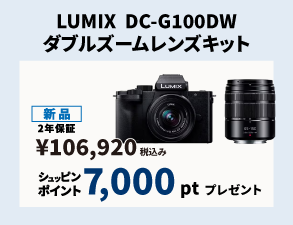 Panasonicポイントプレゼントキャンペーン  LUMIX DC-G100DW ダブルズームレンズキット