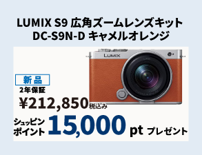 Panasonicポイントプレゼントキャンペーン LUMIX S9 広角ズームレンズキット DC-S9N-D キャメルオレンジ