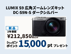Panasonicポイントプレゼントキャンペーン LUMIX S9 広角ズームレンズキット DC-S9N-S ダークシルバー
