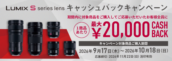中古SALE