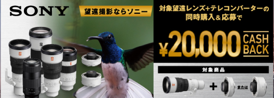 決算セール
