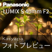 いつもの景色を自分らしく『 Panasonic LUMIX S 40mm F2 』