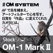 【OM SYSTEM】AFで鳥を捕まえ、アートフィルターで心を写す。日常を「作品」に変えてくれたカメラとは。