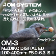 【OM SYSTEM】もう「ピント合わせ」で悩まない。カメラ任せで魔法のように鳥を捉え続ける、驚異の体験談。