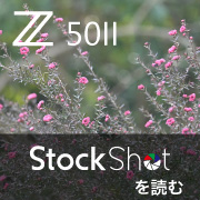 nikonz5ii_stock shot