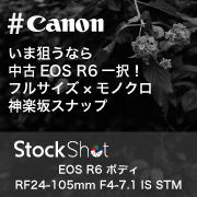 いま狙うなら中古EOS R6一択！フルサイズ×モノクロ 神楽坂スナップ