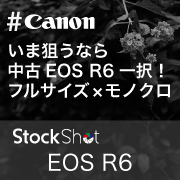 いま狙うなら中古EOS R6一択！フルサイズ×モノクロ 神楽坂スナップ