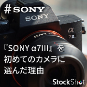 『SONY α7III』を初めてのカメラに選んだ理由を動画で紹介します