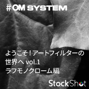 ようこそ！アートフィルターの世界へ vol.1　ラフモノクローム編