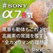 【SONY】α7RVIレビュー！風景も動体もこれ1台。高画素の常識を覆す“全カメラマンの理想形”